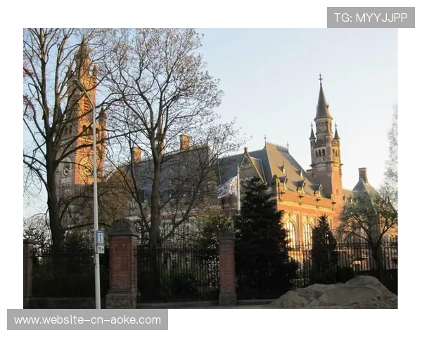 马赛接近签下廷贝尔，荷兰中场增强阵容深度